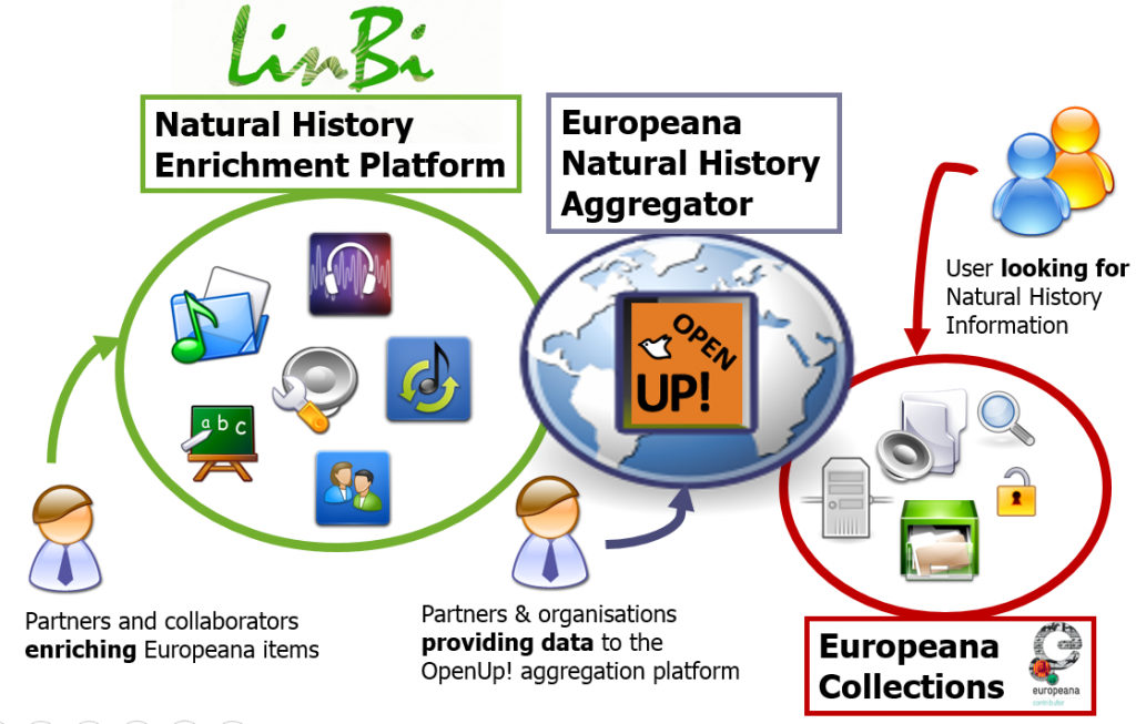 LinBI data overview