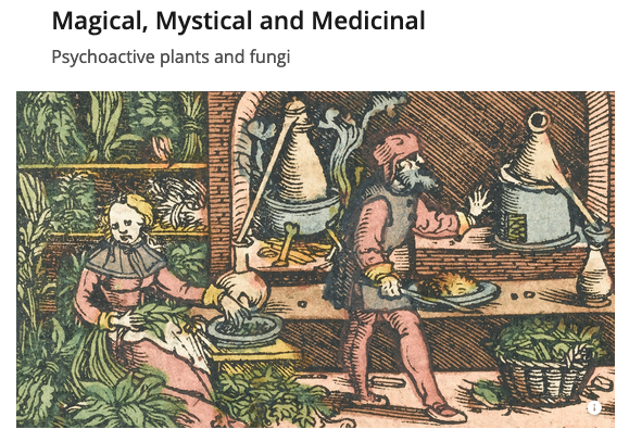 Magical, Mystical and Medicinal